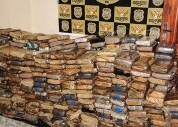 Polícia Civil do Pará apreende meia tonelada de entorpecente em hotel de Belém