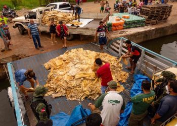 Operação ‘Águas Claras’ apreende 10 toneladas de pirarucu e carnes de jacaré, capivara e tracajá em embarcações, em Prainha