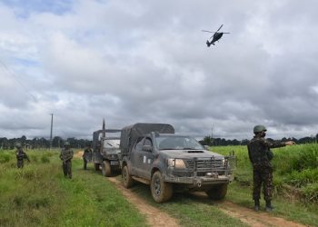 Órgãos que combatem ilícitos ambientais realizam fiscalização em Senador José Porfírio; veja a matéria