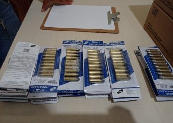PM apreende quase 7 mil munições em Altamira