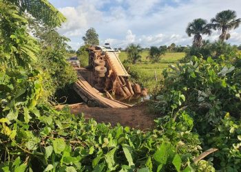 PF prende funcionários públicos do Pará que transportavam madeira ilegal em caminhão de prefeitura