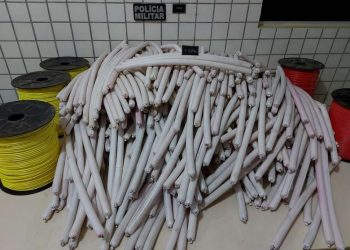 PM apreende mais de 500 bananas de dinamite em Novo Progresso