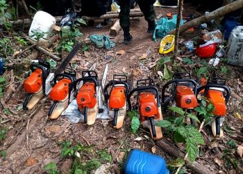 11ª Fase da Operação Amazônia Viva reduz em 62% desmatamento em áreas estaduais no Pará