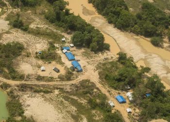 Justiça Federal torna 12 pessoas réus acusados de invadir território Munduruku para extração ilegal de ouro