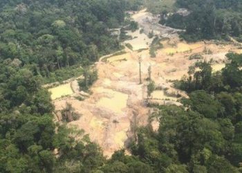 Operação no Pará identifica garimpo ilegal em reserva extrativista