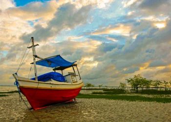 Exposição fotográfica arrecada fundos para ajudar jornalistas no Pará