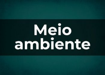 MPF cobra explicações do ICMBio sobre operação cancelada às vésperas da realização no Pará