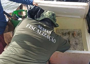 Fiscalização apreende 40 quilos de peixe ilegal em Tucuruí