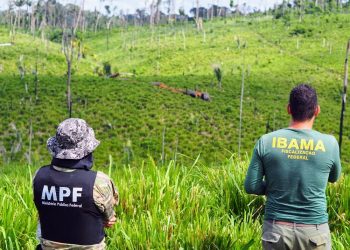 Operação Avarum 2 combate ocupação irregular de terras e desmate ilegal no PDS Virola Jatobá, em Anapu (PA)