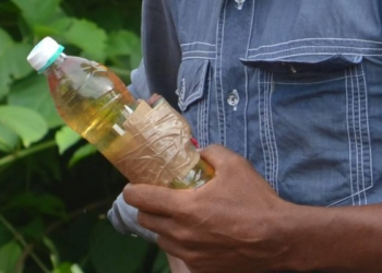 MPF denuncia cinco invasores da Terra Indígena Apyterewa (PA) por crimes ambientais