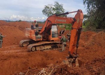 Operação Amazônia Viva faz apreensões no combate ao desmatamento no sudoeste do Pará