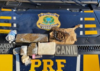 Altamira: Em fiscalização a ônibus, PRF apreende drogas, pássaros e celular roubado