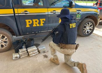 PRF e Polícia Militar apreendem mais de 12kg de drogas em ônibus que seguia para Altamira