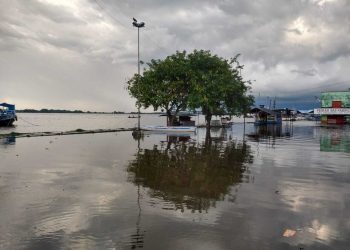 Serviço Geológico do Brasil aponta que vazão hídrica no estado do Amazonas reflete cheia recorde em Óbidos, no Pará