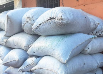 PM recupera carga de seis toneladas de amêndoas de cacau em Altamira