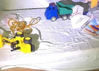 Criança que era destaque na escola é resgatada após ser submetida a trabalho escravo no sudoeste do Pará