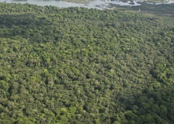 Foto: Divulgação / Norte Energia