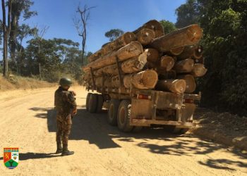 Operação Samaúma - Foto: Exército Brasileiro