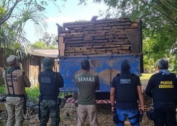 Operação Amazônia Viva amplia resultados em municípios que mais desmatam no Pará