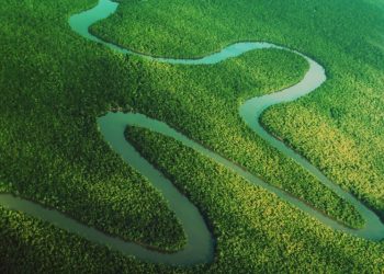 Foto: Bruno Cecim / Ag.Pará