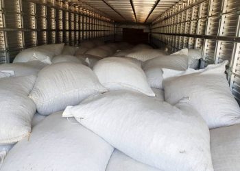 Foto: Sefa/Divulgação