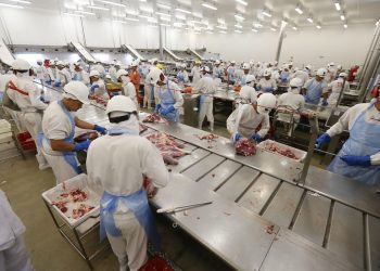 Foto: Agência Pará