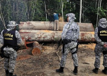 Governo autoriza Forças Armadas a combater desmatamento em Mato Grosso