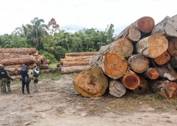 Foto: Foto: Ascom / Semas PA