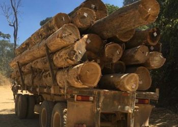 Foto: Ascom Comando Conjunto do Norte