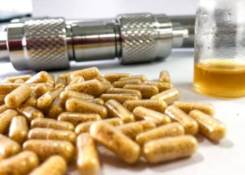 Foto: Agência Pará