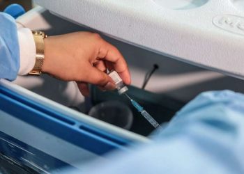 Crédito: Alex Ribeiro/Agência Pará