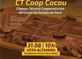 OCB/PA realiza lançamento da Câmara Técnica Cooperativista do Cacau na próxima terça (31)