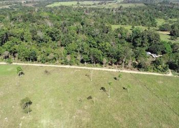 Emater elabora Licença de Atividade Rural para agricultores familiares da Região do Xingu