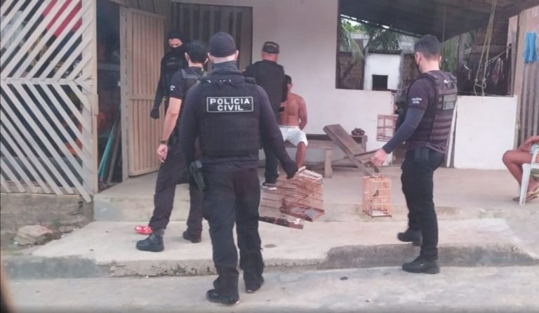 Foto: Divulgação Polícia Civil de Vitória do Xingu