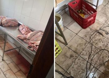 Foto: OAB Santarém/Divulgação