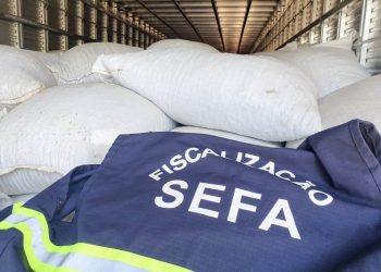 Foto: Agência Pará