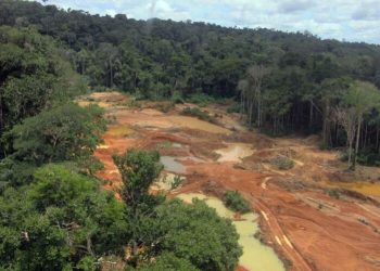 Foto: Divulgação / Polícia Federal