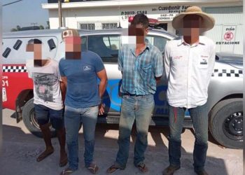 PM prende quadrilha acusada por roubo de gado em Novo Progresso