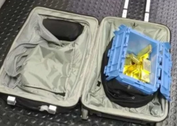 Foto: Divulgação Polícia Federal