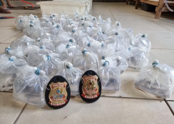 Polícia Federal realiza novo flagrante de tráfico de peixes ornamentais – Altamira/PA
