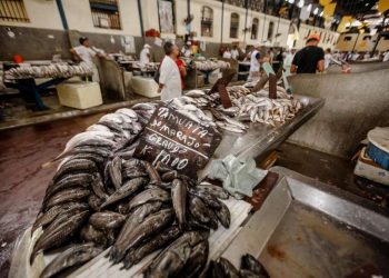 Foto: Reprodução/ Agência Pará