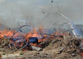 Foto: Divulgação/Nasa