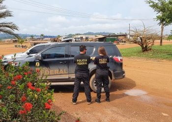 As investigações da PF apontaram um total de 748 hectares de vegetação nativa desmatada por corte raso, sem autorização dos órgãos competentes (Ascom/ Polícia Federal)