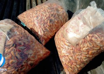 Foto: Sirley de Jesus - TV Vitória