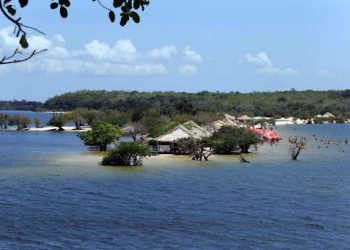 Foto: Agência Pará