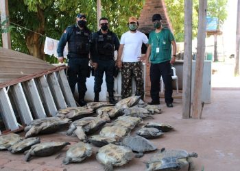 Foto: Polícia Militar/Divulgação