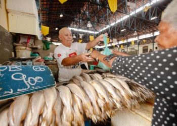 Foto: Reprodução / Agência Pará