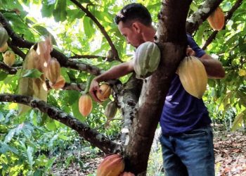 Foto: Mateus Costa - Ascom Sedap