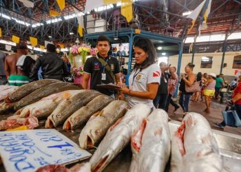 Foto: Agência Pará