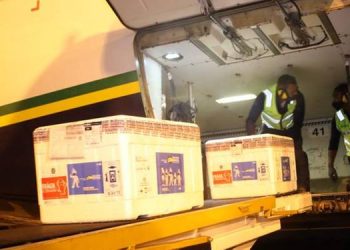 Foto: Marco Santos/Agência Pará